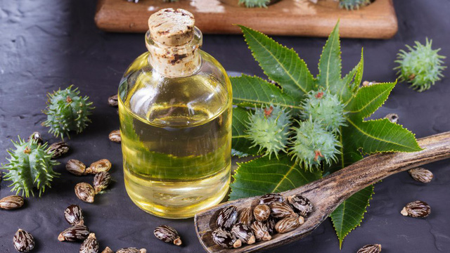 Công dụng thật sự của dầu thầu dầu đen Jamaica là gì? - Ảnh 1.