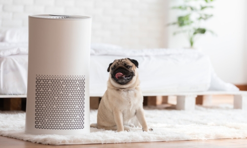 Những công cụ bạn cần để thải độc cơ thể an toàn