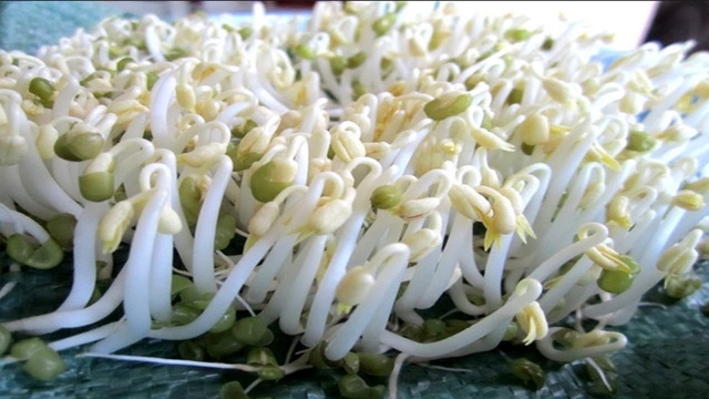 Ăn gì thì bổ khớp? - Ảnh 6.