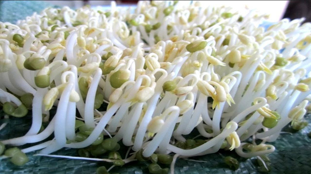 Ăn gì thì bổ khớp? - Ảnh 6.