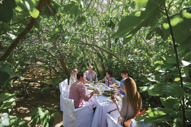 Kangaroo Island: đến thật gần thiên nhiên hoang dã - Ảnh 18.