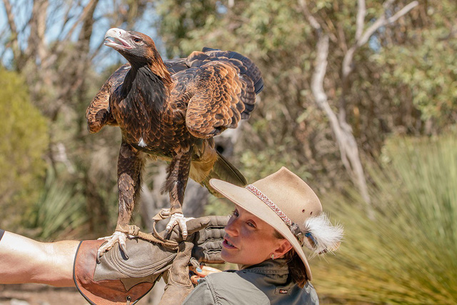 Kangaroo Island: đến thật gần thiên nhiên hoang dã - Ảnh 16.