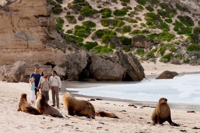 Kangaroo Island: đến thật gần thiên nhiên hoang dã - Ảnh 13.