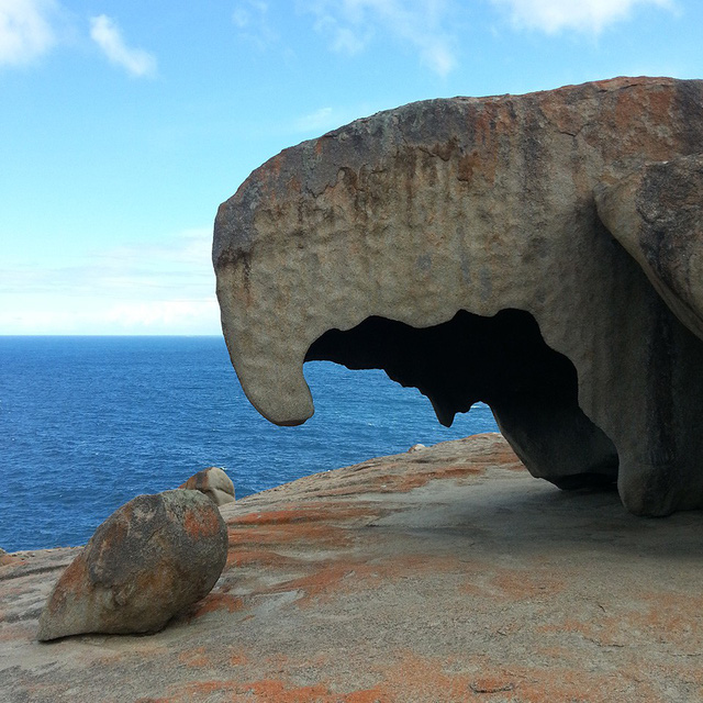 Kangaroo Island: đến thật gần thiên nhiên hoang dã - Ảnh 1.