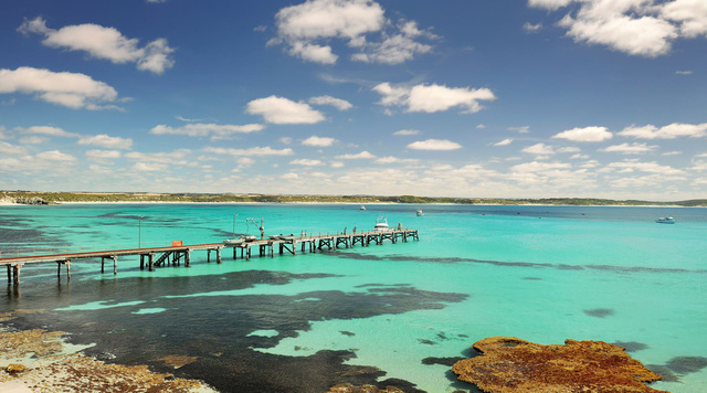 Kangaroo Island: đến thật gần thiên nhiên hoang dã - Ảnh 2.