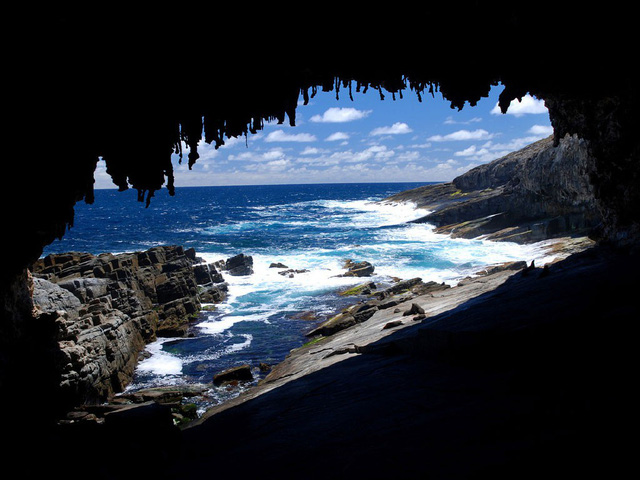 Kangaroo Island: đến thật gần thiên nhiên hoang dã - Ảnh 3.