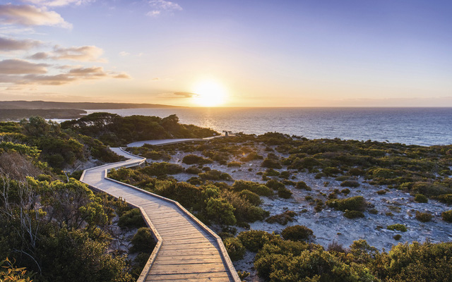 Kangaroo Island: đến thật gần thiên nhiên hoang dã - Ảnh 4.