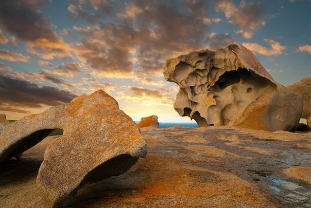 Kangaroo Island: đến thật gần thiên nhiên hoang dã - Ảnh 7.
