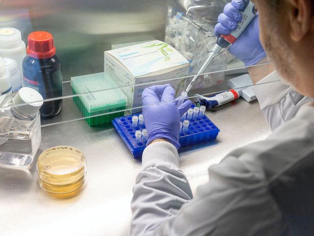 Covid-19: người không có triệu chứng sẽ mất kháng thể nhanh hơn - Ảnh 1.