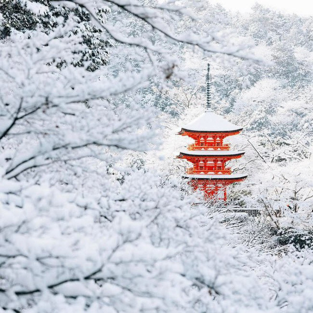 Kyoto mùa đông: cảnh đẹp cố đô chìm trong tuyết trắng - Ảnh 5.