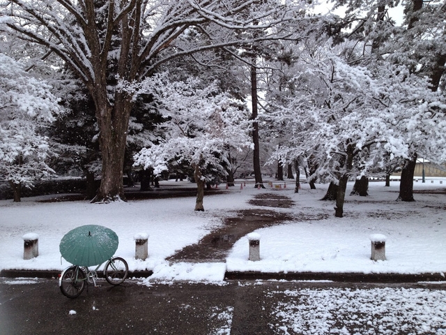 Kyoto mùa đông: cảnh đẹp cố đô chìm trong tuyết trắng - Ảnh 21.