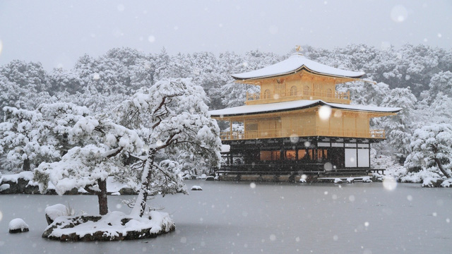 Kyoto mùa đông: cảnh đẹp cố đô chìm trong tuyết trắng - Ảnh 11.