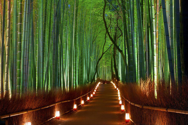 Kyoto mùa đông: cảnh đẹp cố đô chìm trong tuyết trắng - Ảnh 20.