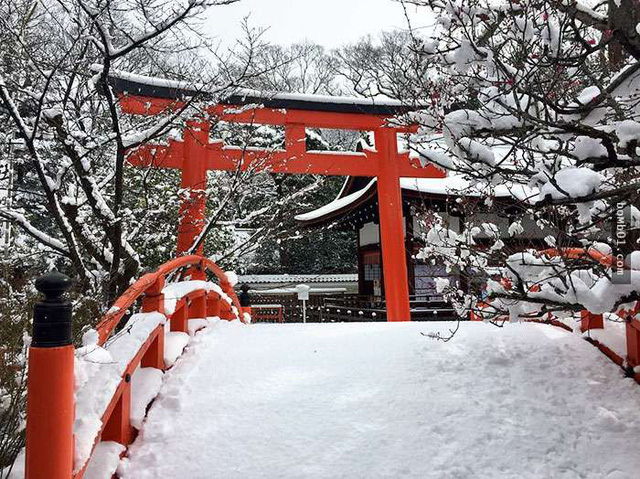 Kyoto mùa đông: cảnh đẹp cố đô chìm trong tuyết trắng - Ảnh 7.
