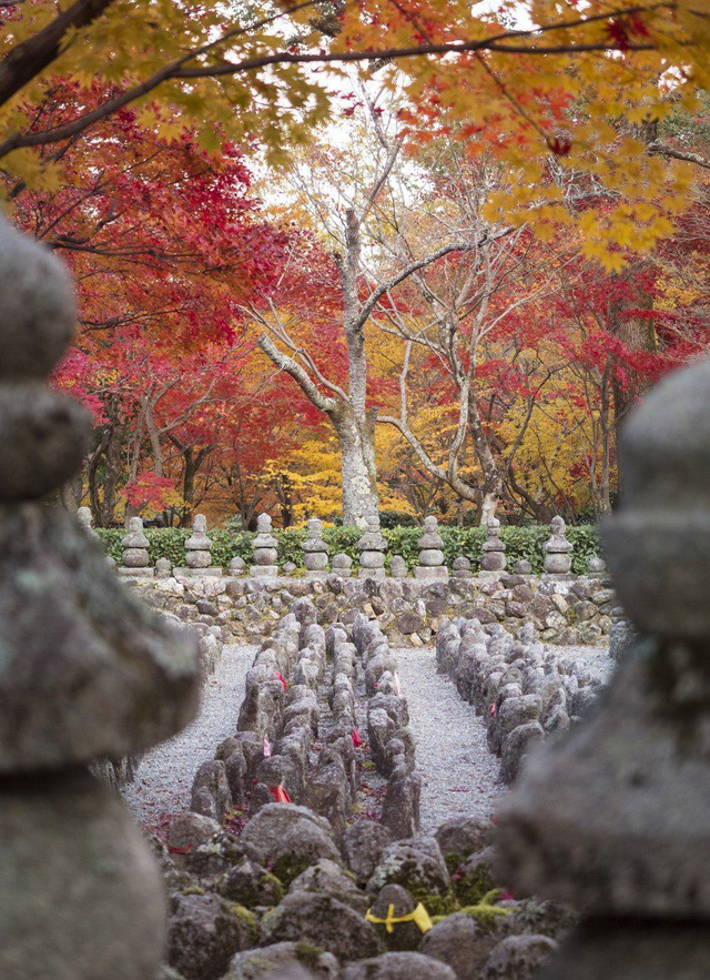 Chầm chậm thôi nhé, ở Tokyo… - Ảnh 11.