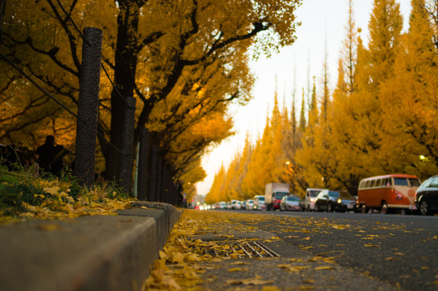 Chầm chậm thôi nhé, ở Tokyo… - Ảnh 9.