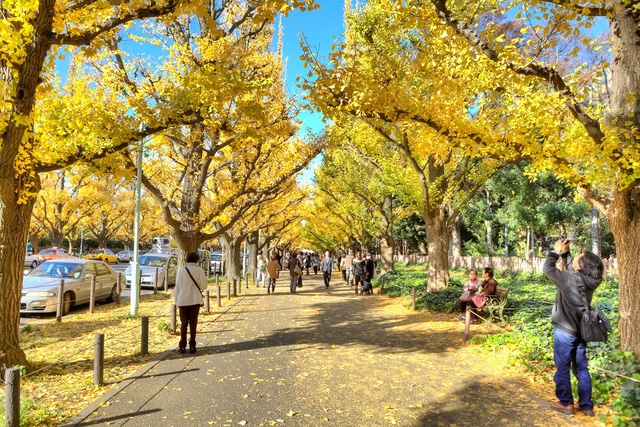 Chầm chậm thôi nhé, ở Tokyo… - Ảnh 10.