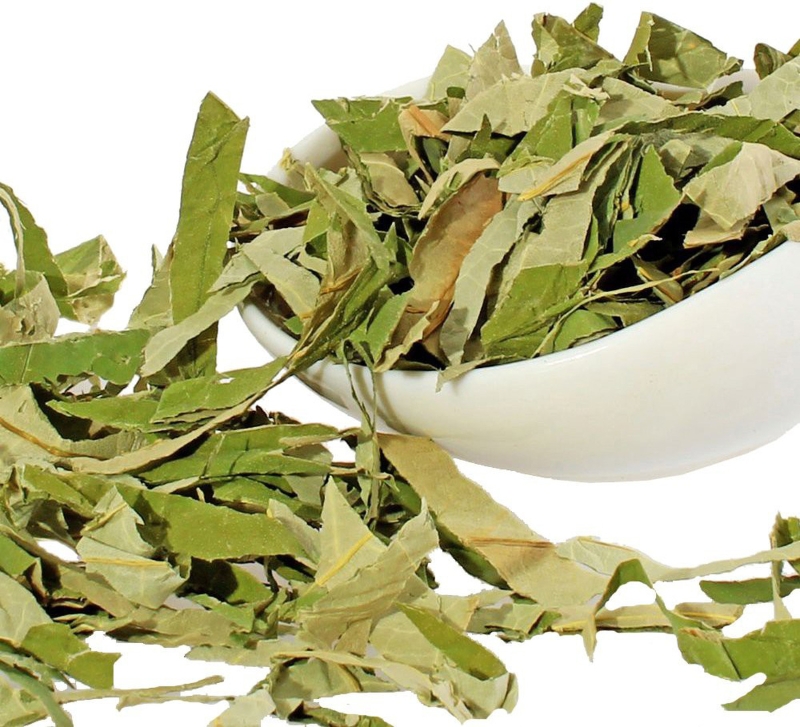 UỐNG NƯỚC LÁ SEN HẰNG NGÀY CÓ THỰC SỰ AN TOÀN