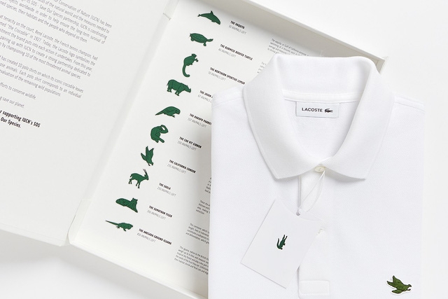 Lascote và những chiếc áo không cá sấu - Ảnh 2.