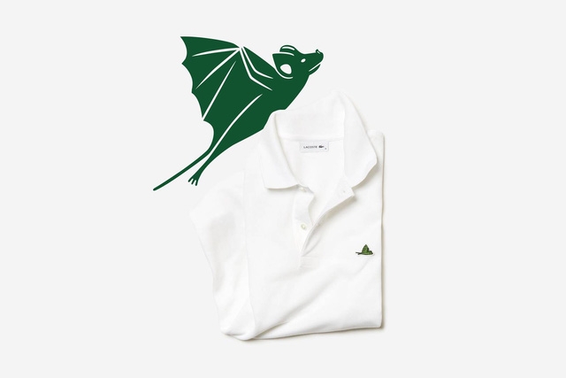 Lascote và những chiếc áo không cá sấu - Ảnh 5.