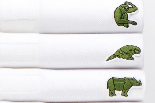 Lascote và những chiếc áo không cá sấu - Ảnh 6.