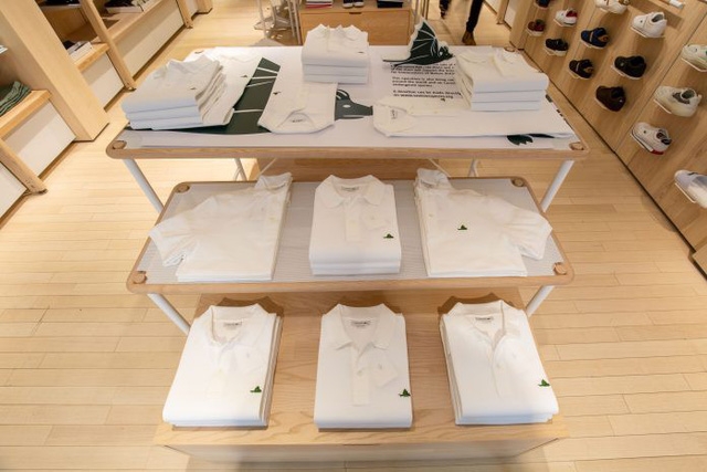 Lascote và những chiếc áo không cá sấu - Ảnh 9.