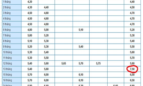 Vì sao lãi suất vay trung dài hạn vẫn treo cao?