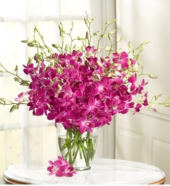 Tết này, bạn cắm hoa gì để mang lại may mắn, phúc lộc? - Ảnh 16.