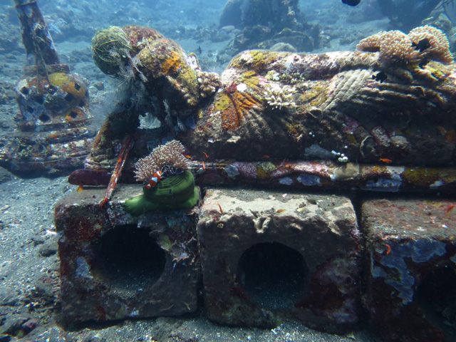 Lặn biển để ngắm những pho tượng bí ẩn và tuyệt đẹp - Ảnh 5.