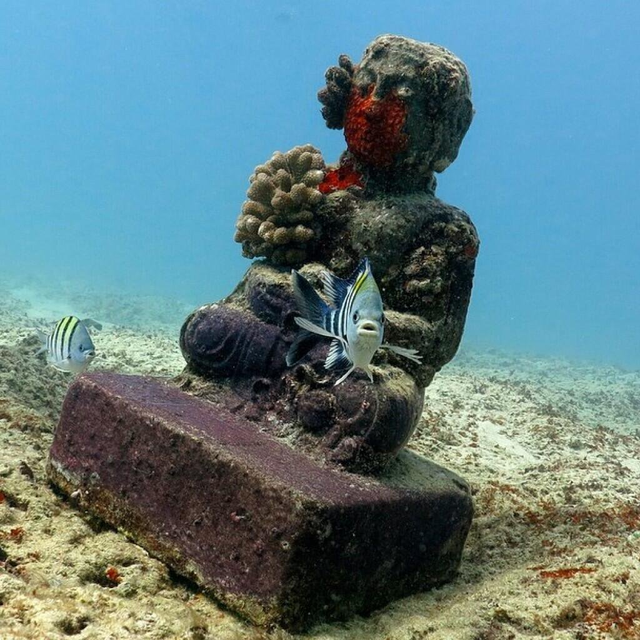 Lặn biển để ngắm những pho tượng bí ẩn và tuyệt đẹp - Ảnh 6.