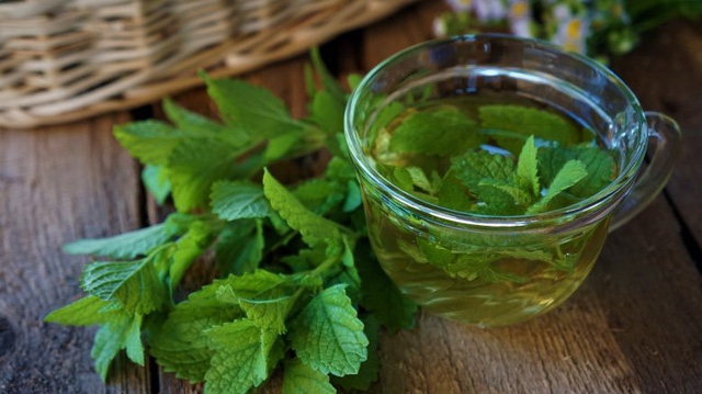 Những phương thuốc tự nhiên tuyệt vời để chữa bệnh - Ảnh 10.