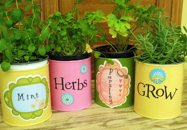 Trồng rau ngay trong nhà, tại sao không? - Ảnh 2.