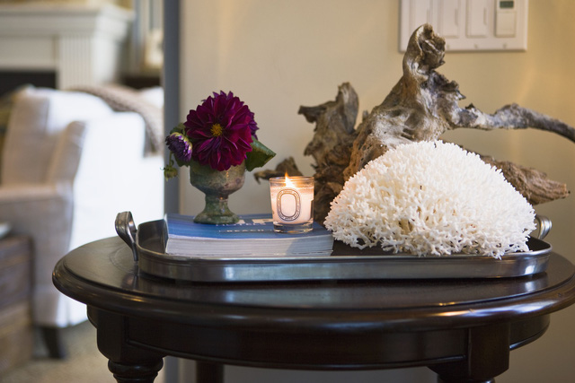 Săn tìm kỳ mộc mini - Ảnh 1.