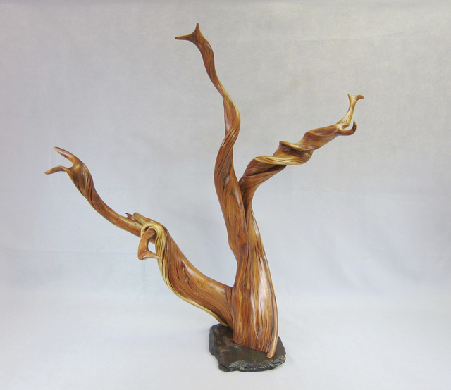 Săn tìm kỳ mộc mini - Ảnh 3.