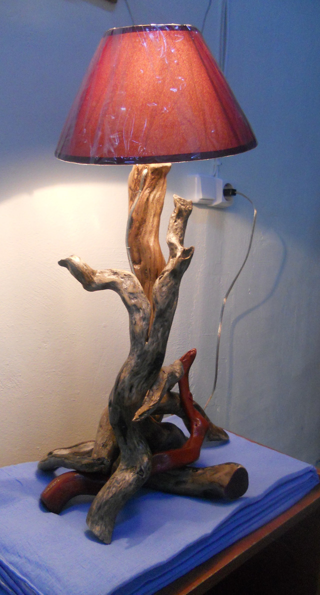 Săn tìm kỳ mộc mini - Ảnh 2.