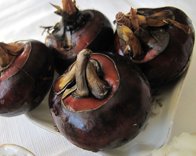 Mùa xuân ăn củ mã thầy... - Ảnh 1.