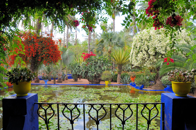 Thành phố đỏ Marrakech quyến rũ - Ảnh 18.