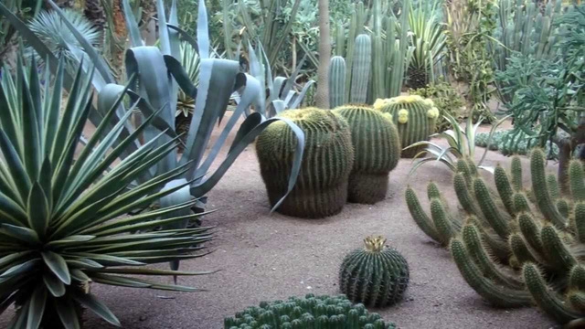 Thành phố đỏ Marrakech quyến rũ - Ảnh 19.