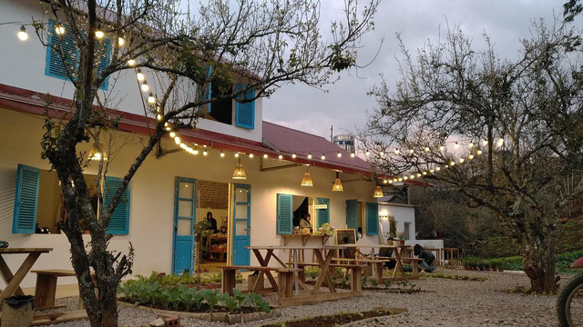 5 homestay đẹp để bạn check-in Mộc Châu - Ảnh 1.