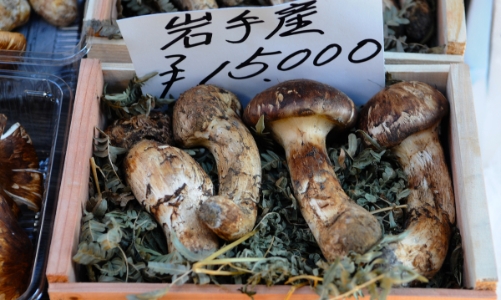 Quý và hiếm - hương vị của mùa thu