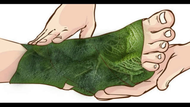 Đắp lá: cẩn thận tiền mất tật mang! - Ảnh 3.