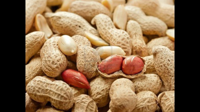 Củ lạc – những lợi ích bất ngờ! - Ảnh 4.