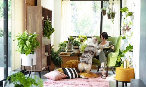 Khi công nghệ giúp thanh lọc không khí trong nhà