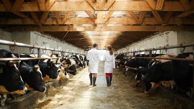 Những lý do để bạn chọn ăn chay - Ảnh 5.