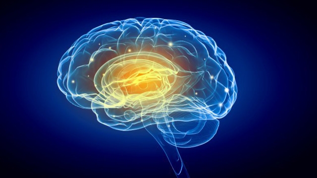 Những lợi ích của thiền đã được khoa học chứng minh - Ảnh 5.