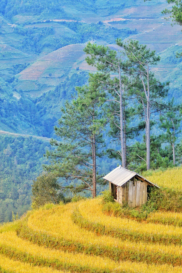 Mù Cang Chải lọt top 50 điểm đến đẹp nhất thế giới - Ảnh 1.