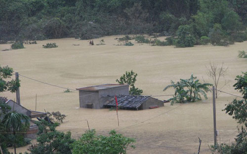 Các tổ chức tín dụng chủ động rà soát các khoản nợ vay nông nghiệp nông 
thôn của người dân, doanh nghiệp bị thiệt hại do lũ lụt nghiêm trọng tại
 các tỉnh phía Bắc, đặc biệt là các tỉnh bị thiệt hại nặng nề như Quảng 
Ninh, Điện Biên, Lạng Sơn, Lai Châu - Ảnh: VnExpress.<br>