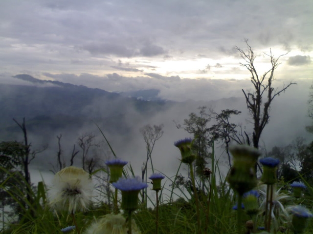 Mường Lay, vùng đất đậm sắc màu huyền sử - Ảnh 8.