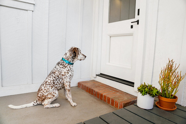 Cửa thông minh cho nhà có thú cưng - Ảnh 2.