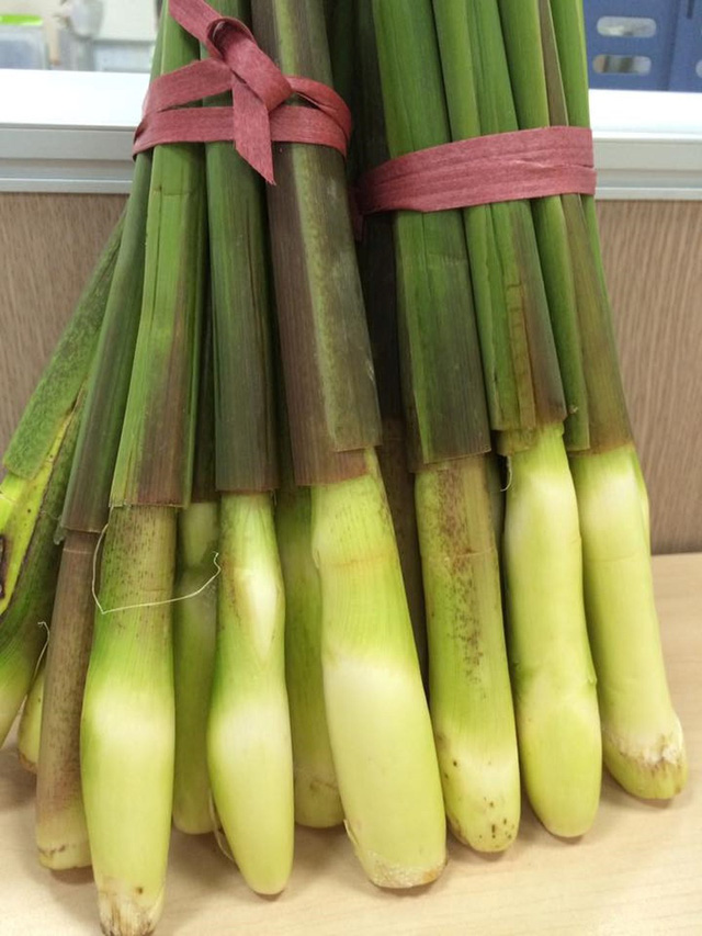 Củ niễng: từ bùn đất quê nhà thành đặc sản thời trân - Ảnh 1.